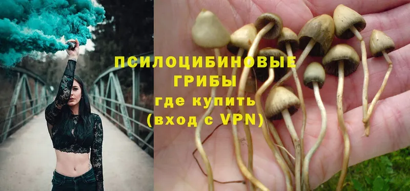 Псилоцибиновые грибы Magic Shrooms  OMG вход  Ковров 